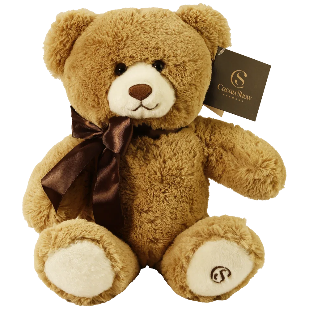 Urso de Pelúcia com Laço - foto 1